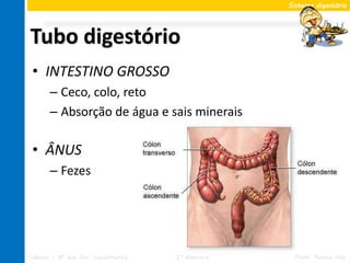 Sistema digestório




Tubo digestório
 • INTESTINO GROSSO
       – Ceco, colo, reto
       – Absorção de água e sais minerais

 • ÂNUS
       – Fezes




Ciências – 8º ano Ens. Fundamental   2º Bimestre    Profa. Rebeca Vale
 