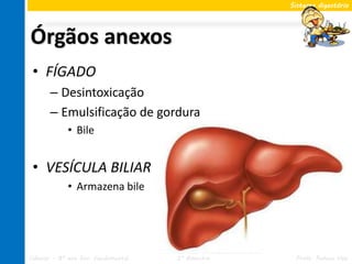 Sistema digestório




Órgãos anexos
 • FÍGADO
       – Desintoxicação
       – Emulsificação de gordura
             • Bile


 • VESÍCULA BILIAR
             • Armazena bile




Ciências – 8º ano Ens. Fundamental   2º Bimestre    Profa. Rebeca Vale
 