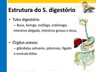 Sistema digestório




Estrutura do S. digestório
 • Tubo digestório
       – Boca, faringe, esôfago, estômago,
       intestino delgado, intestino grosso e ânus.


 • Órgãos anexos
       – glândulas salivares, pâncreas, fígado
       e vesícula biliar.



Ciências – 8º ano Ens. Fundamental   2º Bimestre      Profa. Rebeca Vale
 