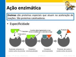 Sistema digestório




Ação enzimática
  Enzimas são proteínas especiais que atuam na aceleração de
  reações. São proteínas catalisadoras.

 • Especificidade




Ciências – 8º ano Ens. Fundamental   2º Bimestre    Profa. Rebeca Vale
 