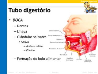 Sistema digestório




Tubo digestório
 • BOCA
       – Dentes
       – Língua
       – Glândulas salivares
             • Saliva
                   – Amilase salivar
                   – Ptialina


       – Formação do bolo alimentar


Ciências – 8º ano Ens. Fundamental     2º Bimestre    Profa. Rebeca Vale
 