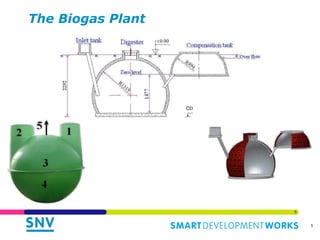 5 
The Biogas Plant 
5 
 