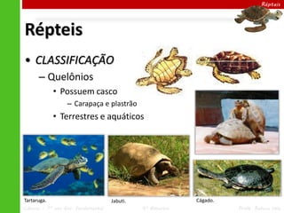 Répteis




Répteis
• CLASSIFICAÇÃO
      – Quelônios
             • Possuem casco
                  – Carapaça e plastrão
             • Terrestres e aquáticos




Tartaruga.                           Jabuti.                 Cágado.
Ciências – 7º ano Ens. Fundamental             4º Bimestre             Profa. Rebeca Vale
 