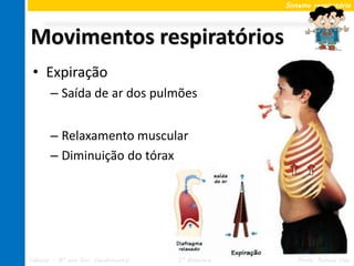 Sistema respiratório




Movimentos respiratórios
 • Expiração
       – Saída de ar dos pulmões


       – Relaxamento muscular
       – Diminuição do tórax




Ciências – 8º ano Ens. Fundamental   2º Bimestre      Profa. Rebeca Vale
 