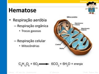 Sistema respiratório




Hematose
 • Respiração aeróbia
       – Respiração orgânica
             • Trocas gasosas


       – Respiração celular
             • Mitocôndrias




Ciências – 8º ano Ens. Fundamental   2º Bimestre      Profa. Rebeca Vale
 