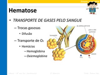 Sistema respiratório




Hematose
 • TRANSPORTE DE GASES PELO SANGUE
       – Trocas gasosas
             • Difusão

       – Transporte de O2
             • Hemácias
                – Hemoglobina
                – Oxiemoglobina




Ciências – 8º ano Ens. Fundamental   2º Bimestre      Profa. Rebeca Vale
 