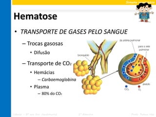 Sistema respiratório




Hematose
 • TRANSPORTE DE GASES PELO SANGUE
       – Trocas gasosas
             • Difusão

       – Transporte de CO2
             • Hemácias
                   – Carboemoglobina
             • Plasma
                   – 80% do CO2



Ciências – 8º ano Ens. Fundamental     2º Bimestre      Profa. Rebeca Vale
 