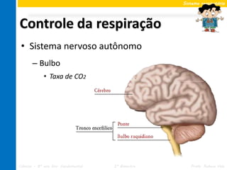 Sistema respiratório




Controle da respiração
 • Sistema nervoso autônomo
       – Bulbo
             • Taxa de CO2




Ciências – 8º ano Ens. Fundamental   2º Bimestre      Profa. Rebeca Vale
 