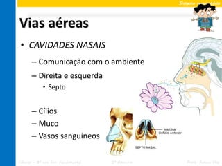 Sistema respiratório




Vias aéreas
 • CAVIDADES NASAIS
       – Comunicação com o ambiente
       – Direita e esquerda
             • Septo


       – Cílios
       – Muco
       – Vasos sanguíneos

Ciências – 8º ano Ens. Fundamental   2º Bimestre      Profa. Rebeca Vale
 