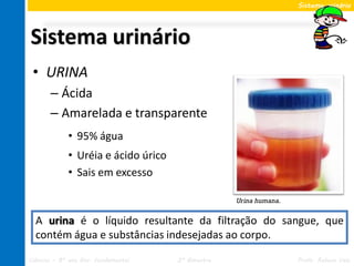 Sistema urinário




Sistema urinário
 • URINA
       – Ácida
       – Amarelada e transparente
             • 95% água
             • Uréia e ácido úrico
             • Sais em excesso

                                                   Urina humana.


  A urina é o líquido resultante da filtração do sangue, que
  contém água e substâncias indesejadas ao corpo.

Ciências – 8º ano Ens. Fundamental   2º Bimestre                   Profa. Rebeca Vale
 