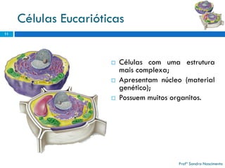 Células Eucarióticas 
11 
Célulascomumaestruturamaiscomplexa; 
Apresentamnúcleo(materialgenético); 
Possuemmuitosorganitos. 
Profª Sandra Nascimento 
 