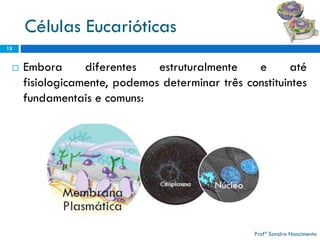 Células Eucarióticas 
Emboradiferentesestruturalmenteeatéfisiologicamente,podemosdeterminartrêsconstituintesfundamentaisecomuns: 
13 
Profª Sandra Nascimento 
 