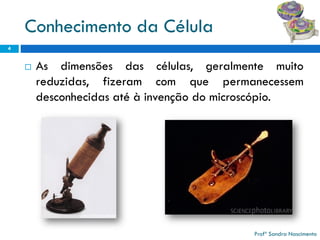 Conhecimento da Célula 
Asdimensõesdascélulas,geralmentemuitoreduzidas,fizeramcomquepermanecessemdesconhecidasatéàinvençãodomicroscópio. 
4 
Profª Sandra Nascimento 
 