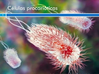 Células procarióticas 
8 
 