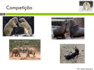 Competição
16
Profª: Sandra Nascimento
 