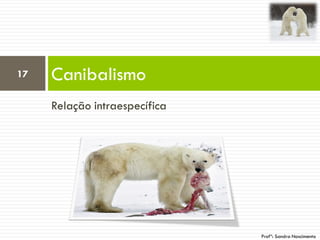 Relação intraespecífica
Canibalismo17
Profª: Sandra Nascimento
 