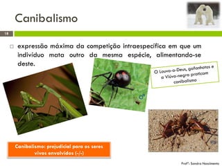 Canibalismo
18
Profª: Sandra Nascimento
 expressão máxima da competição intraespecífica em que um
indivíduo mata outro da mesma espécie, alimentando-se
deste.
Canibalismo: prejudicial para os seres
vivos envolvidos (-/-)
 