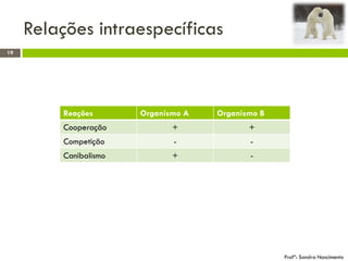 Relações intraespecíficas
19
Profª: Sandra Nascimento
Reações Organismo A Organismo B
Cooperação + +
Competição - -
Canibalismo + -
 