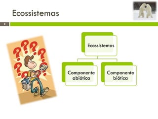 Ecossistemas
2
Ecossistemas
Componente
abiótica
Componente
biótica
 