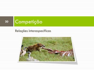 Relações interespecíficas
Competição20
 