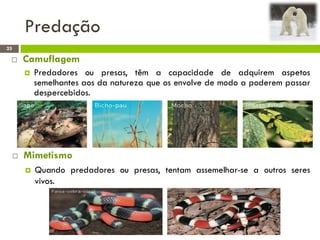Predação
25
 Camuflagem
 Predadores ou presas, têm a capacidade de adquirem aspetos
semelhantes aos da natureza que os envolve de modo a poderem passar
despercebidos.
 Mimetismo
 Quando predadores ou presas, tentam assemelhar-se a outros seres
vivos.
 
