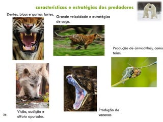 26
Dentes, bicos e garras fortes.
Visão, audição e
olfato apurados.
Grande velocidade e estratégias
de caça.
Produção de
venenos
Produção de armadilhas, como
teias.
características e estratégias dos predadores
 