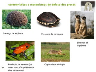 27
Presença de espinhos
Produção de venenos (as
cores vivas são geralmente
sinal de veneno)
Presença de carapaça
Capacidade de fuga
Sistemas de
vigilância
características e mecanismos de defesa das presas
 