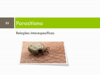 Relações interespecíficas
Parasitismo33
 