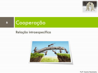 Relação intraespecífica
Cooperação6
Profª: Sandra Nascimento
 
