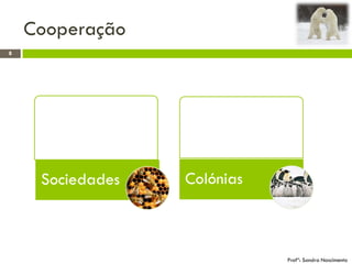 Cooperação
8
Profª: Sandra Nascimento
Sociedades Colónias
 