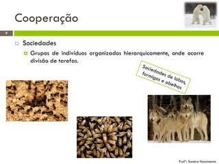 Cooperação
9
Profª: Sandra Nascimento
 Sociedades
 Grupos de indivíduos organizados hierarquicamente, onde ocorre
divisão de tarefas.
 