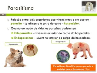 Parasitismo
34
 Relação entre dois organismos que vivem juntos e em que um -
parasita - se alimenta à custa do outro - hospedeiro.
 Quanto ao modo de vida, os parasitas podem ser:
 Ectoparasitas – vivem no exterior do corpo do hospedeiro.
 Endoparasitas – vivem no interior do corpo do hospedeiro.
Parasitismo: Benefício para o parasita e
prejuízo para o hospedeiro (+/-)
Ectoparasita
Endoparasita
 