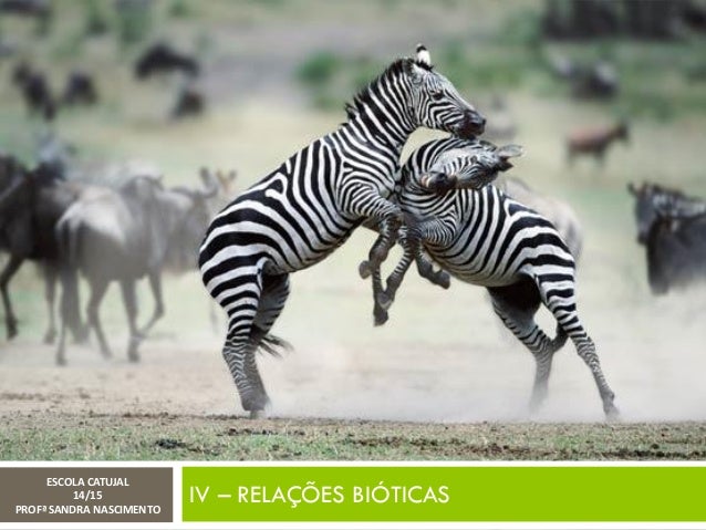 IV – RELAÇÕES BIÓTICAS
ESCOLA CATUJAL
14/15
PROFª SANDRA NASCIMENTO
 