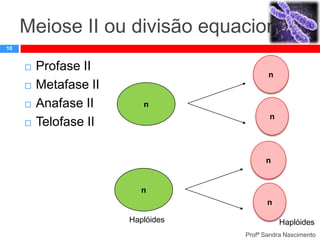 Meiose II ou divisão equacional
10






Profase II
Metafase II
Anafase II
Telofase II

n

n
n

n

n
n
Haplóides

Haplóides
Profª Sandra Nascimento

 