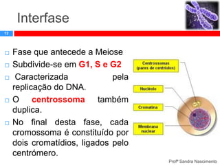 Interfase
12









Fase que antecede a Meiose
Subdivide-se em G1, S e G2
Caracterizada
pela
replicação do DNA.
O centrossoma também
duplica.
No final desta fase, cada
cromossoma é constituído por
dois cromatídios, ligados pelo
centrómero.
Profª Sandra Nascimento

 