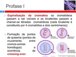 Profase I
15





Espiralização da cromatina os cromatídeos
passam a ser visíveis e os bivalentes passam a
chamar-se tétradas cromatídicas (cada bivalente é
constituído por 4 cromatídios e dois centrómeros);
Formação de pontos
de quiasma (pontos de
cruzamento
entre
cromos-somas
homólogos)
e
ocorrência
de
crossing-over.

Profª Sandra Nascimento

 