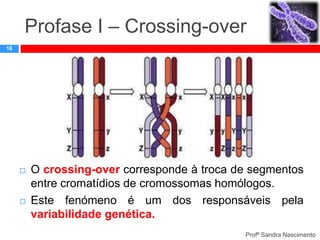 Profase I – Crossing-over
16





O crossing-over corresponde à troca de segmentos
entre cromatídios de cromossomas homólogos.
Este fenómeno é um dos responsáveis pela
variabilidade genética.
Profª Sandra Nascimento

 