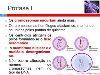 Profase I
17










Os cromossomas encurtam ainda mais.
Os cromossomas homólogos afastam-se, mantendose unidos pelos pontos de quiasma.
Os centríolos atingem os
pólos formando-se o fuso
acromático.
A membrana nuclear e o
nucléolo desorganizamse.
Não ocorre alteração no
número
de
cromossomas, nem no
teor de DNA.
Profª Sandra Nascimento

 