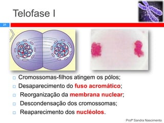 Telofase I
21








Cromossomas-filhos atingem os pólos;
Desaparecimento do fuso acromático;
Reorganização da membrana nuclear;
Descondensação dos cromossomas;
Reaparecimento dos nucléolos.
Profª Sandra Nascimento

 