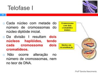 Telofase I
22







Cada núcleo com metade do
número de cromossomas do
núcleo diplóide inicial.
Da divisão I resultam dois
núcleos haplóides, tendo
cada
cromossoma
dois
cromatídeos.
Não ocorre alteração no
número de cromossomas, nem
no teor de DNA.
Profª Sandra Nascimento

 