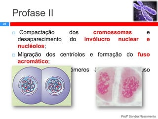 Profase II
25







Compactação
dos
cromossomas
e
desaparecimento do invólucro nuclear e
nucléolos;
Migração dos centríolos e formação do fuso
acromático;
Ligação dos centrómeros às fibrilas do fuso
acromático.

Profª Sandra Nascimento

 