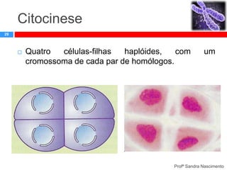 Citocinese
29



Quatro
células-filhas
haplóides,
com
cromossoma de cada par de homólogos.

um

Profª Sandra Nascimento

 