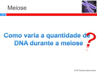 Meiose
36

Profª Sandra Nascimento

 