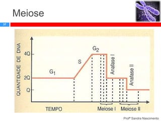 Meiose
37

Profª Sandra Nascimento

 