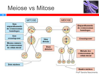 Meiose vs Mitose
38

Profª Sandra Nascimento

 