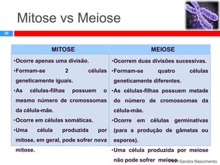 Mitose vs Meiose
39

MITOSE

MEIOSE

•Ocorre apenas uma divisão.
•Formam-se

•Ocorrem duas divisões sucessivas.

células •Formam-se

2

geneticamente iguais.
•As

células-filhas

possuem

quatro

células

geneticamente diferentes.
o •As células-filhas possuem metade

mesmo número de cromossomas

do número de cromossomas da

da célula-mãe.

célula-mãe.

•Ocorre em células somáticas.
•Uma

célula

produzida

•Ocorre em células germinativas
por

mitose, em geral, pode sofrer nova

mitose.

(para a produção de gâmetas ou
esporos).
•Uma célula produzida por meiose

não pode sofrer meiose. Sandra Nascimento
Profª

 