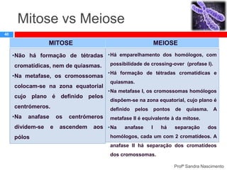 Mitose vs Meiose
40

MITOSE

MEIOSE

•Não há formação de tétradas •Há emparelhamento dos homólogos, com

cromatídicas, nem de quiasmas.
•Na metafase, os cromossomas
colocam-se na zona equatorial
cujo plano é definido pelos
centrómeros.
•Na

anafase

dividem-se
pólos

•Há formação de tétradas cromatídicas e
quiasmas.
•Na metafase I, os cromossomas homólogos

dispõem-se na zona equatorial, cujo plano é
definido

os
e

possibilidade de crossing-over (profase I).

centrómeros

ascendem

pelos

pontos

de

quiasma.

A

metafase II é equivalente à da mitose.

aos •Na

anafase

I

há

separação

dos

homólogos, cada um com 2 cromatídeos. A
anafase II há separação dos cromatídeos
dos cromossomas.
Profª Sandra Nascimento

 