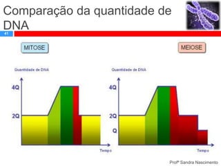 Comparação da quantidade de
DNA
41

Profª Sandra Nascimento

 