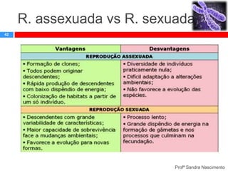 R. assexuada vs R. sexuada
42

Profª Sandra Nascimento

 