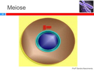 Meiose
44

Profª Sandra Nascimento

 